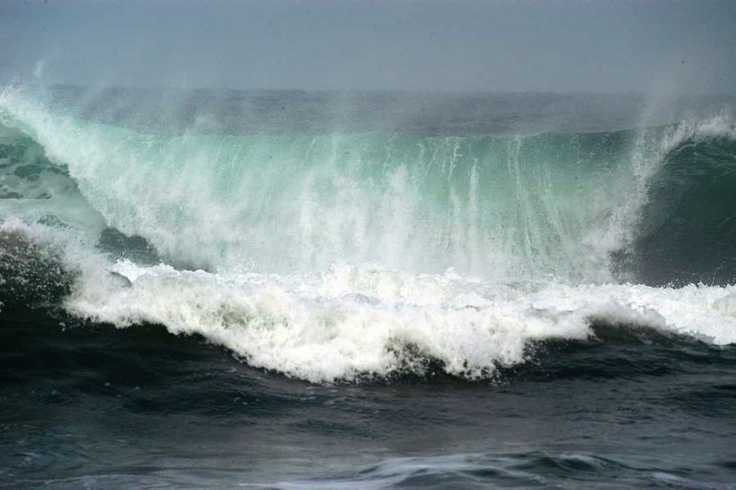 Nom de l'image : D1159342-01_(c)Norbert-JUNG — Description :